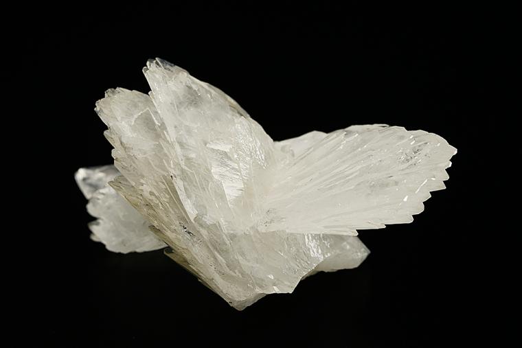 COLEMANITE